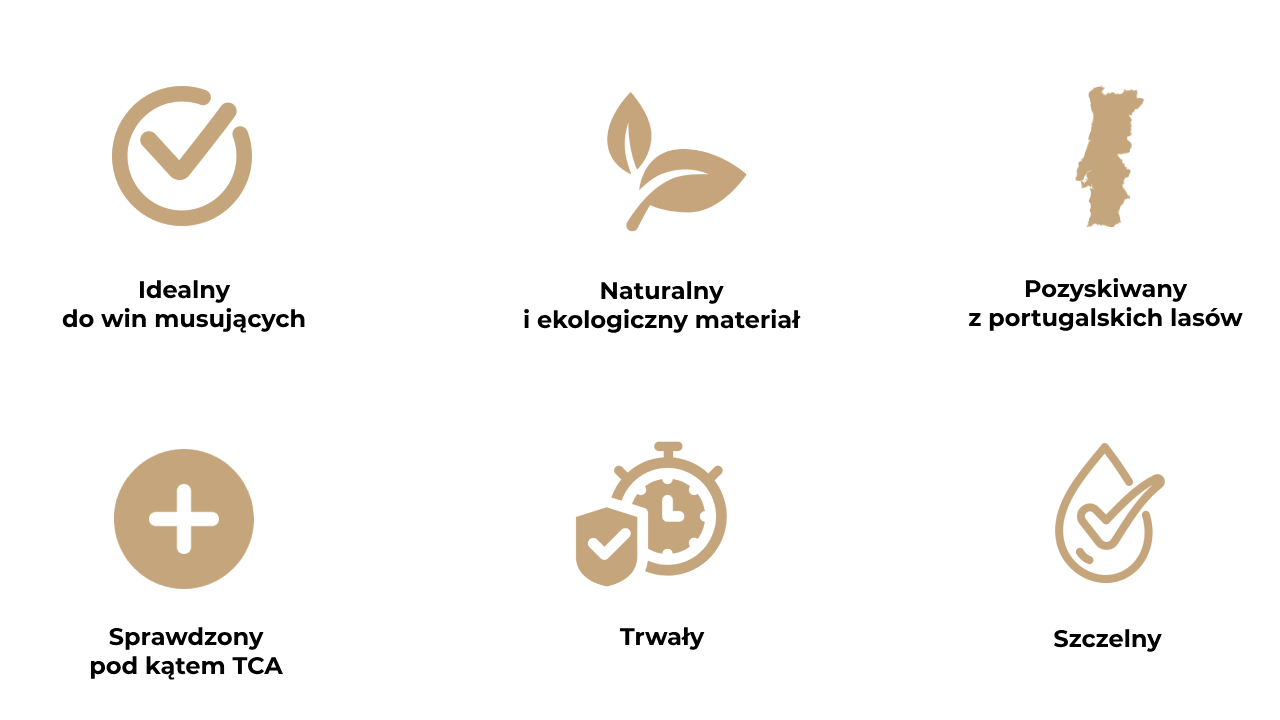 Obraz
            przedstawia psześć ikon opisujących zalety korka od wina